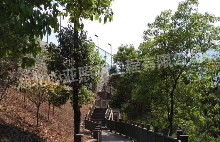 路燈安裝完成遠觀效果圖
