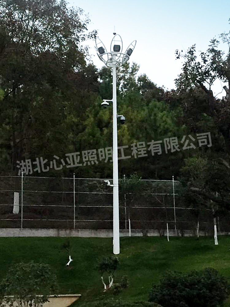 湖北稻花香集團蔡府莊園園林中桿燈1