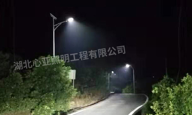 重慶墊江縣杠家鎮太陽能路燈照明項目