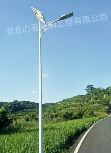 重慶墊江縣杠家鎮(zhèn)太陽能路燈照明項目