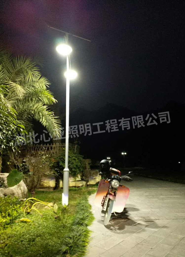 太陽能庭院燈安裝完成效果8